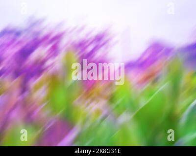 Multicolored spring or summer blurry background. Sun days spring or summer abstract nature blurred backdrop. Stock Photo