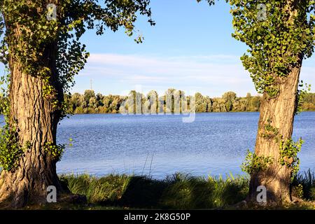 Lake at sunset framed by trees on the shore Stock Photo