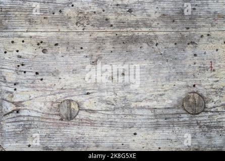 weathered wood has many holes from woodworm Stock Photo