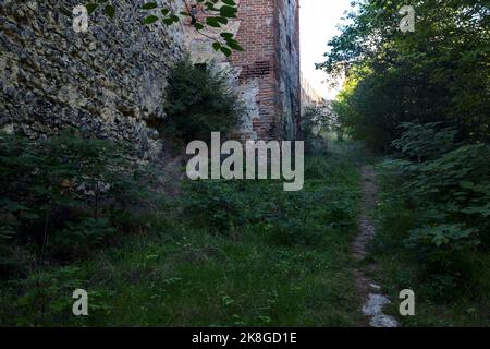 Narrow path in the shade between trees and bushes and a fortification wall Stock Photo