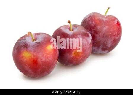 plum path isolated on white Stock Photo