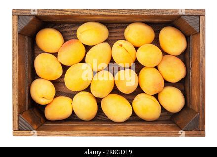 apricot path isolated on white top view Stock Photo