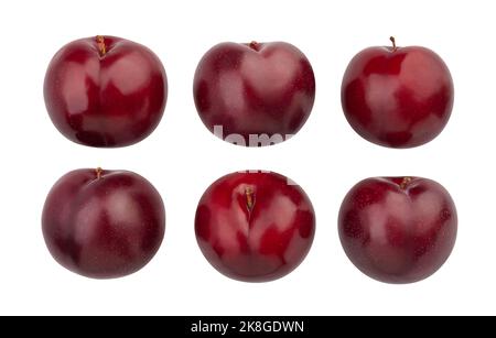plum path isolated on white Stock Photo