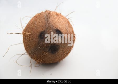 A brown coconut with coconut eyes looking at the camera isolated on a white background Stock Photo