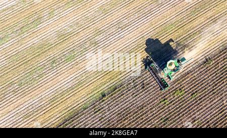 Aerial view of combined harvester. Autumn harvest. Drone point of view. Stock Photo