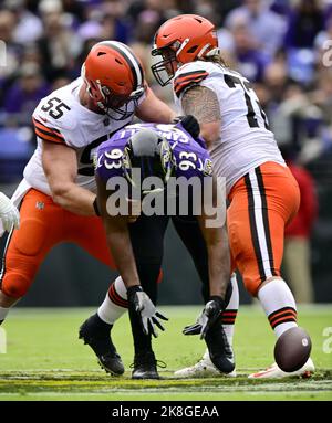 Baltimore Ravens defensive end Calais Campbell (93) during an NFL football  game against the Las Vegas Raiders, Monday, Sept. 13, 2021, in Las Vegas.  (AP Photo/Rick Scuteri Stock Photo - Alamy