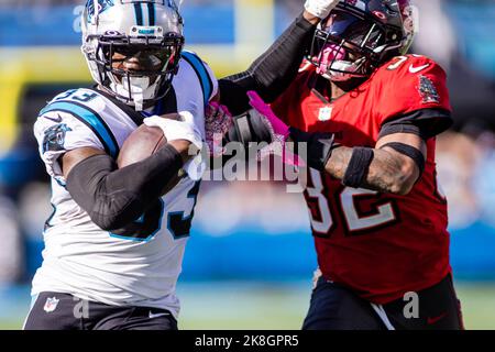 Tampa, United States. 29th Nov, 2020. Tampa Bay Buccaneers defenders  Ndamukong Suh (93) and Mike Edwards (32) walk to the sideline during the  fourth quarter against the Kansas City Chiefs at Raymond