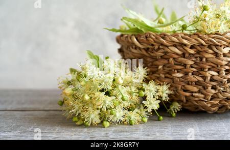Fresh linden or Tilia cordata flowers on a table and in a basket Stock Photo