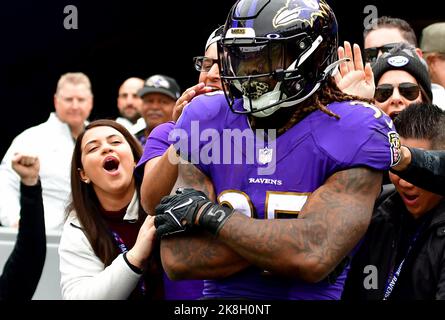 Baltimore Ravens running back Gus Edwards works out during the team's NFL  football training camp, Thursday, July 27, 2023, in Owings Mills, Md. (AP  Photo/Julio Cortez Stock Photo - Alamy