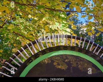detail of mini trampoline for fitness exercising and rebounding in a backyard, abstract of fall scenery Stock Photo