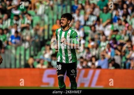 SEVILLA, SPAIN - OCTOBER 23: Rodri Sanchez of Real Betis Balompie during the match between Real Betis Balompie and Atletico de Madrid CF of La Liga Santander on August 27, 2022 at Mestalla in Valencia, Spain. (Photo by Samuel Carreño/PxImages) Stock Photo