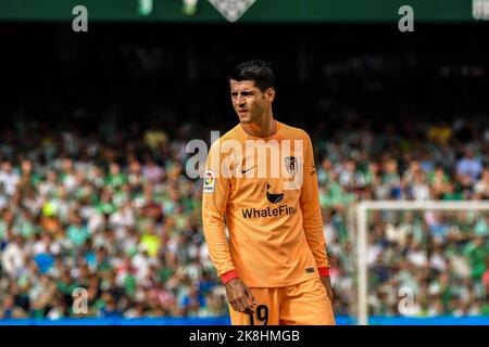 Alvaro Morata (Atletico de Madrid, #19) in action Stock