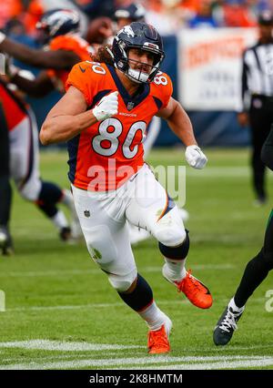 Denver Broncos tight end Greg Dulcich celebrates during the second half ...