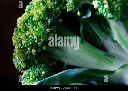 Side view of broccoli against dark background Stock Photo