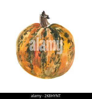 Pumpkin on a white background. Hand-painted in watercolor. Isolated object. Stock Photo
