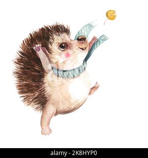 Cute hedgehog spreads autumn leaves Watercolor illustration isolated on white background Stock Photo