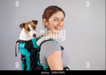 Jack russell backpack hotsell