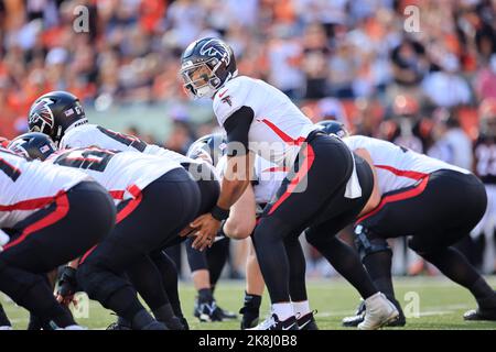 October 23, 2022: Marcus Mariota (1) of the Atlanta Falcons during WEEK 7  of the NFL regular season between the Atlanta Falcon and Cincinnati Bengals  in Cincinnati, Ohio. JP Waldron/Cal Sport Media/Sipa