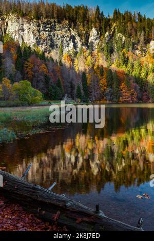 Autumn atmosphere at lake Feldsee in Black Forest, Germany Stock Photo