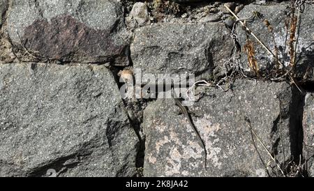 Stone wall with decorative stones and facings Stock Photo