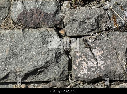 Stone wall with decorative stones and facings Stock Photo