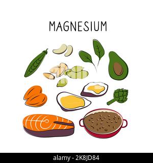 Magnesium-containing food. Groups of healthy products containing vitamins and minerals. Set of fruits, vegetables, meats, fish and dairy. Stock Vector