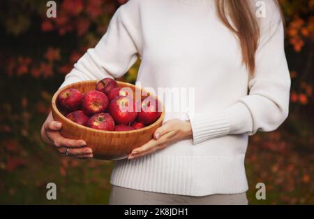 Hands holding wooden bowl with organic apples on a background of red and orange autumn leavesharvesting in the garden Fresh apples Stock Photo
