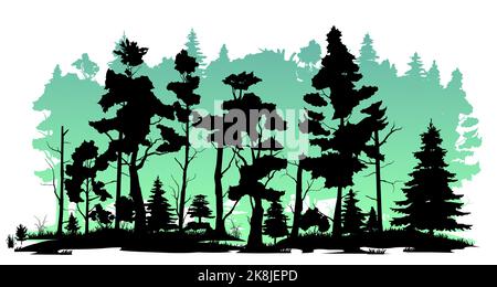 Old trees. Coniferous forest with firs and pines. Landscape with trees and grass. Silhouette picture. Isolated on white background. Vector Stock Vector