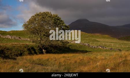 Standing Still Stock Photo