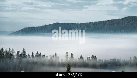 panoramic view of of mountains in misty forest. far horizon. Stock Photo