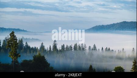 Panorama of forest covered by low clouds. Autumn rain and fog on the mountain hills. Misty fall woodland. Stock Photo