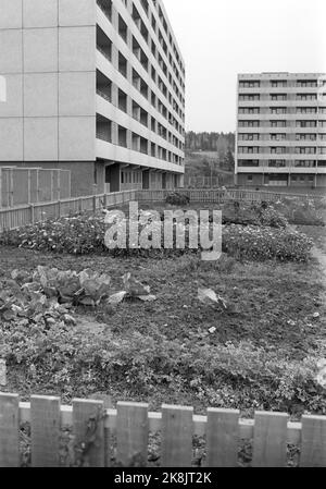 Oslo 19701107. ...... But the car is room for. Current report on the car's place in the drab town versus children for children. Haugenstua in Groruddalen. Photo: Ivar Aaserud / Current / NTB Stock Photo