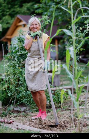 Senior woman farmer having break during digging her vegetables garden. Stock Photo