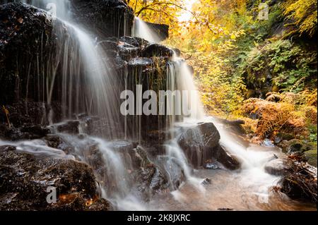 The Birks of Aberfeldy in Perthshire. Stock Photo