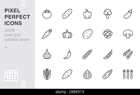 Vegetables line icon set. Pumpkin, cucumber, broccoli, carrot, zucchini, asparagus, potato, garlic minimal vector illustration. Simple outline sign Stock Vector