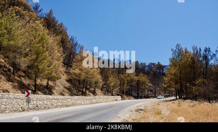 Vegetation and trees that turned to ash after the forest fire in Mugla, Datca (Muğla, �ٲ���ç��) in 2022. Forest destroyed by fire. Stock Photo