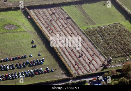 aerial view of Dunham Pumpkins, a pumpkin patch, near Altrincham, Cheshire, UK Stock Photo
