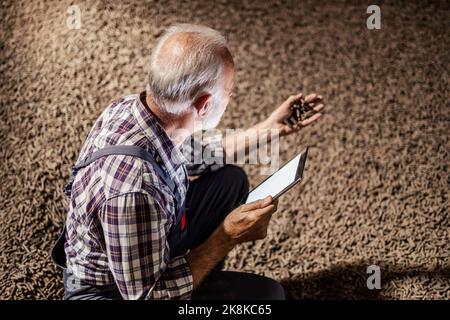 A senior worker is crouching next to a pile of sugar beet products and holding the tablet. The worker is checking on the quality of the sugar beet pro Stock Photo