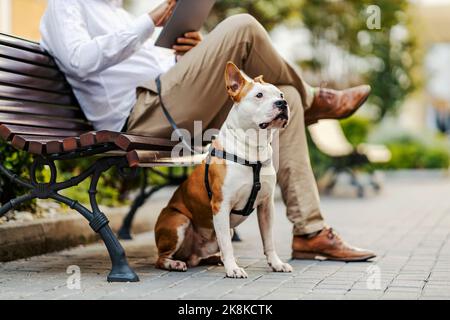 A dog sitting next to his owner's legs in a public park. In blurry background businessman, the owner, sitting on the bench and using his tablet for wo Stock Photo