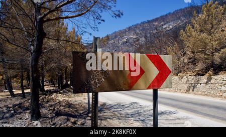Vegetation and trees that turned to ash after the forest fire in Mugla, Datca (Muğla, �ٲ���ç��) in 2022. Forest destroyed by fire. Stock Photo