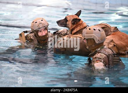 Calw, Germany. 24th Oct, 2022. Task forces of the Special Forces Command demonstrate an exercise during the visit of the Federal Minister of Defense in an indoor swimming pool. The minister finds out about the status of implementation of the reform package and the unit's performance. Credit: Bernd Weißbrod/dpa/Alamy Live News Stock Photo