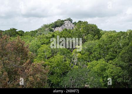 View Of Calakmul, A Maya Archeological Site In The Jungles Of The ...