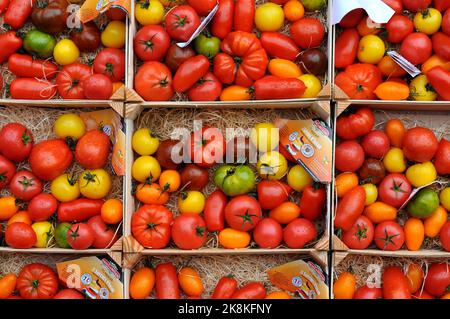 Copenhagen/Denmark/.24 October 2022/Grocery shoppers at .Fruit and  vegetable vendor at torvhallerne in danish capital openhagen ( .Photo..Francis Joseph Dean/Dean Pictures) Stock Photo