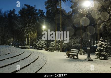 View of bench against christmas tree and shining lantern through snowing. Night shot. Stock Photo