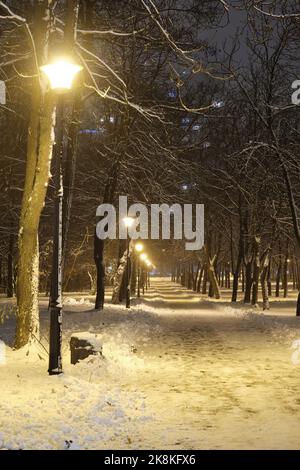 View of bench against christmas tree and shining lantern through snowing. Night shot. Stock Photo