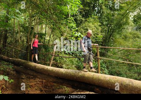 Nationalpark Topes de Collantes: Wanderer überqueren auf einer Baumbrücke ein Rinsal. Hikers are crossing a small river on a tree bridge. Stock Photo