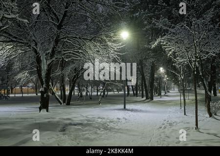 View of bench against christmas tree and shining lantern through snowing. Night shot. Stock Photo