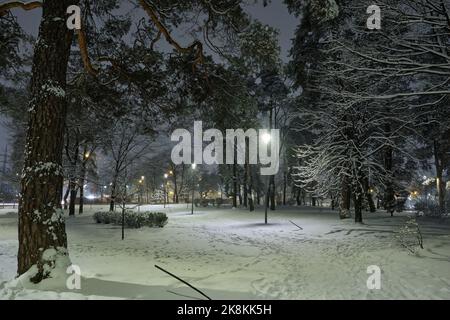 View of bench against christmas tree and shining lantern through snowing. Night shot. Stock Photo