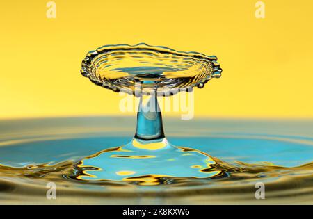 Water drop splash isolated on yellow background. Stock Photo