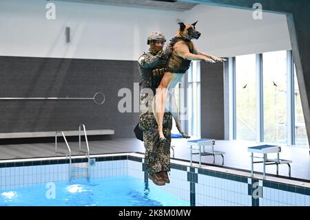 Calw, Germany. 24th Oct, 2022. Task forces of the Special Forces Command demonstrate an exercise during the visit of the Federal Minister of Defense in an indoor swimming pool. The minister finds out about the status of implementation of the reform package and the unit's performance. Credit: Bernd Weißbrod/dpa/Alamy Live News Stock Photo